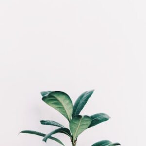 Residential Installation Service