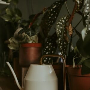 Winterization Service