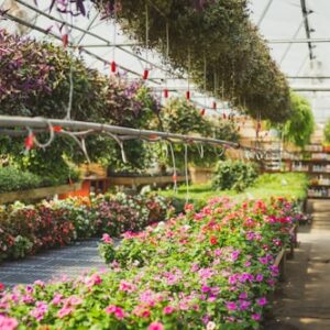 Water Conservation Guide